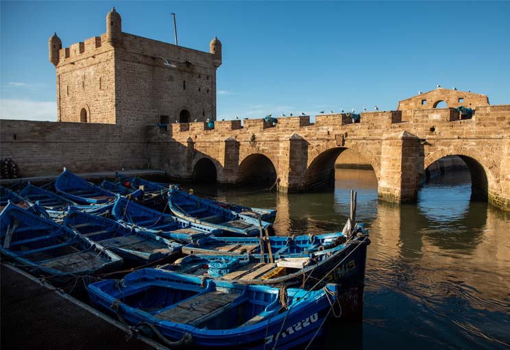 Excursion to Essaouira