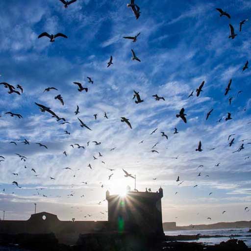 Essaouira